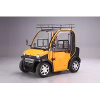 Voiture électrique Sans Permis