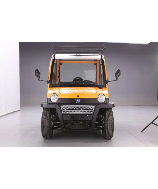 Voiture électrique Sans Permis