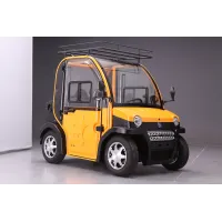 Voiture électrique Sans Permis