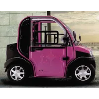 Voiture électrique Sans Permis